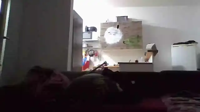 Snapshot of ThePython666 chatting on 11.17.25 ThePython666 online show from 11.17.25