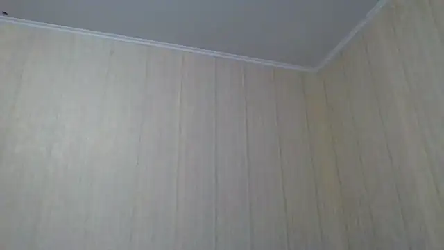 Snapshot of _Black-Panther_ chatting on 09.28.25 Black-Panther online show from 09.28.25