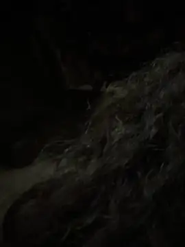 Snapshot of aa520uv chatting on 02.05.26 aa520uv online show from 02.05.26