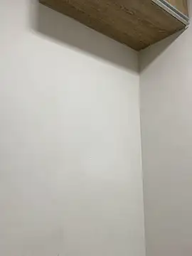 SammyDesire 10 online show from 11.15.25