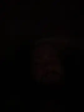 Snapshot of Bear2323 chatting on 05.20.26 Bear2323 online show from 05.20.26