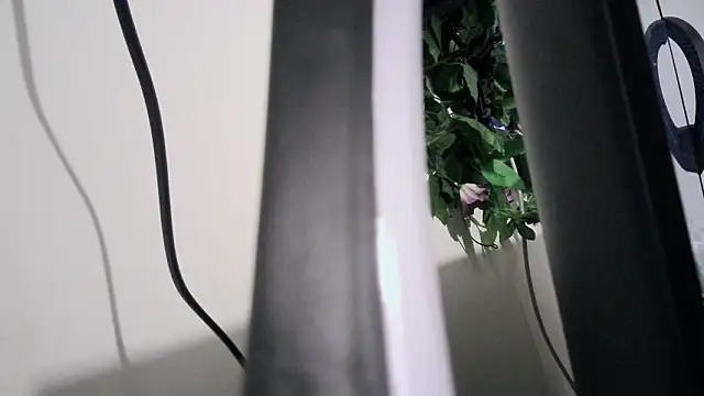 cherryboom23 online show from 03.19.26