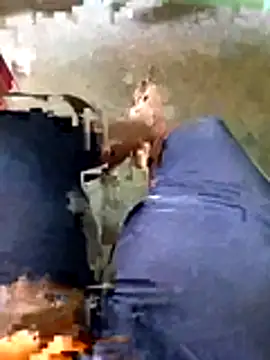 A-1PLAYBOY0 online show from 04.28.26