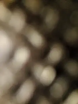 Snapshot of geilerschwanz556r7 chatting on 09.30.25 geilerschwanz556r7 online show from 09.30.25