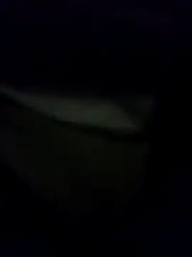 Snapshot of Hema0Hema chatting on 02.21.26 Hema0Hema online show from 02.21.26