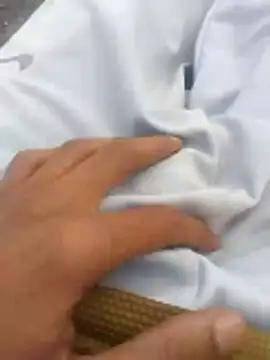 tiibcstuj online show from 02.14.26