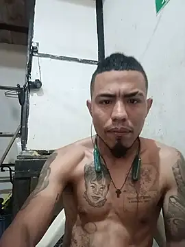 Trigongo online show from 07.08.26