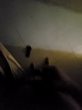 beto juby777 online show from 11.04.25