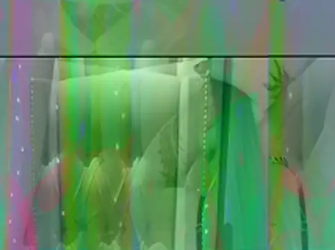 Jcalibwc556 online show from 04.19.26