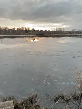 elliot scott online show from 10.22.25