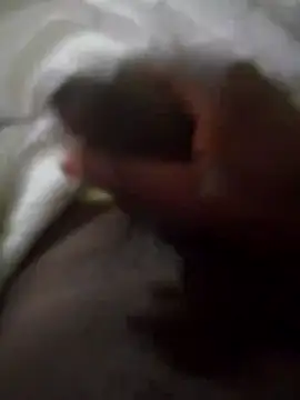 92donis online show from 09.30.25