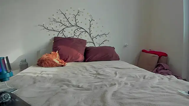 VellvetAnders online show from 02.01.26