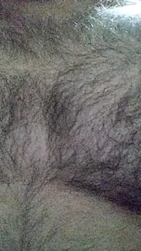 LeoMaduroSP online show from 01.16.26