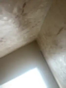 Snapshot of Noa_Todokoro chatting on 10.16.25 Noa Todokoro online show from 10.16.25