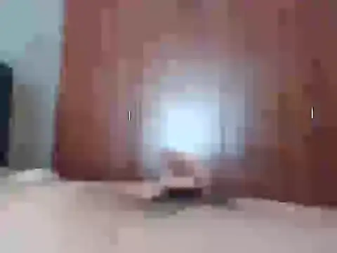 Snapshot of Culazodeantonellarocuzzo chatting on 02.25.26 Culazodeantonellarocuzzo online show from 02.25.26