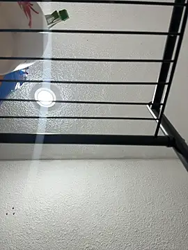 Nia Desire online show from 12.17.25