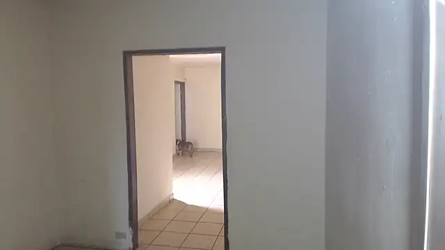 BlondZilla online show from 04.03.26