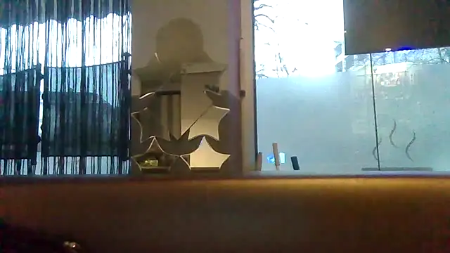 ARTANIS20 online show from 02.01.26