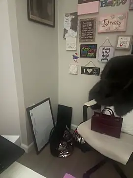 Juicystorm online show from 02.11.26