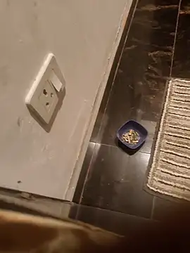 HootedTuner online show from 11.13.25