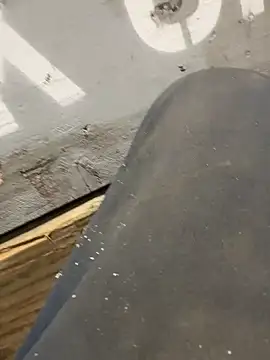 curis4270panda online show from 02.16.26