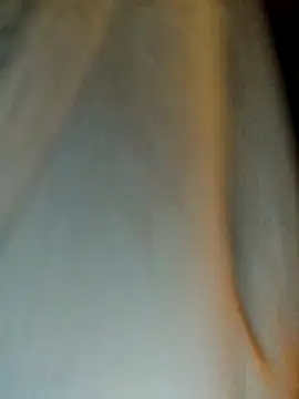 Snapshot of himNIGuys chatting on 02.11.26 himNIGuys online show from 02.11.26