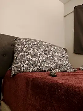 Snapshot of himNIGuys chatting on 03.01.26 himNIGuys online show from 03.01.26