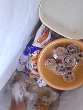 GRUESO-CURVO online show from 04.14.26