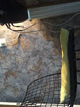 AlevNaz online show from 09.30.25