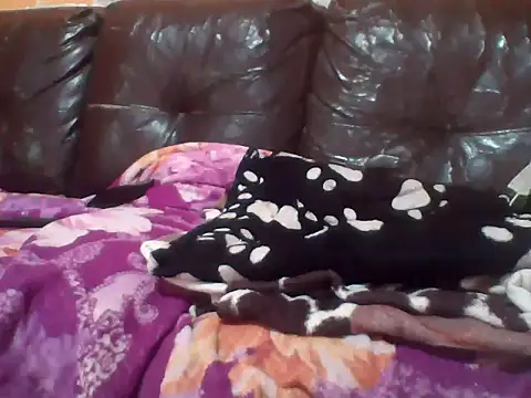 PREDADOR76 online show from 10.10.25