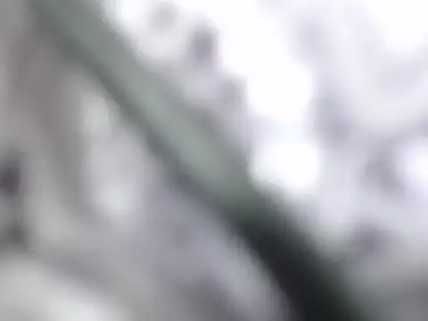 Snapshot of ble_wilos chatting on 11.23.25 ble wilos online show from 11.23.25