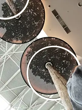 StephanieMur online show from 10.12.25