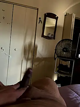 NiftyCaptain3 online show from 01.08.26