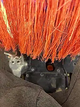 Snapshot of Telugu_person12 chatting on 01.12.26 Telugu person12 online show from 01.12.26