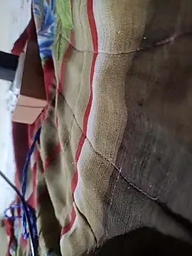 Snapshot of Telugu_person12 chatting on 02.16.26 Telugu person12 online show from 02.16.26