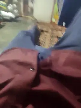 Snapshot of Telugu_person12 chatting on 03.16.26 Telugu person12 online show from 03.16.26