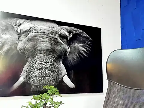 Snapshot of king_falconer chatting on 12.02.25 king falconer online show from 12.02.25