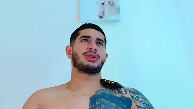 king falconer online show from 02.03.26