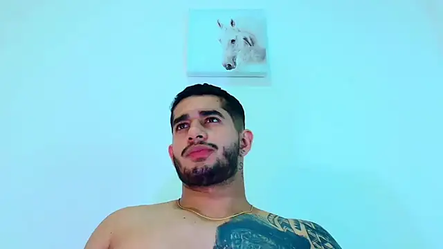 king falconer online show from 02.04.26