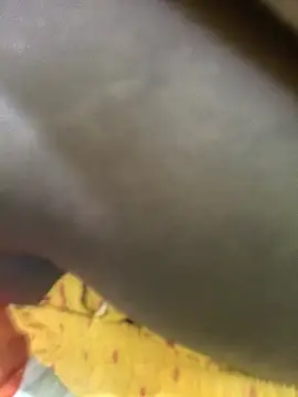 Dassing strip couple online show from 02.25.26