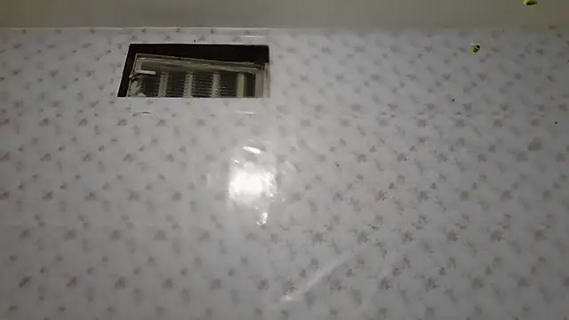 Snapshot of Roselingalvis13 chatting on 02.02.26 Roselingalvis13 online show from 02.02.26