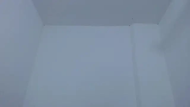 carolina zabala 19 online show from 12.17.25