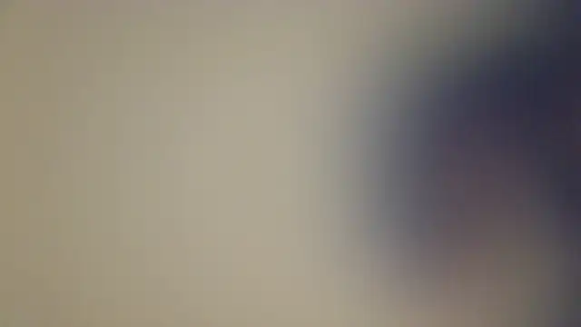 Alexpereezzz online show from 03.17.26