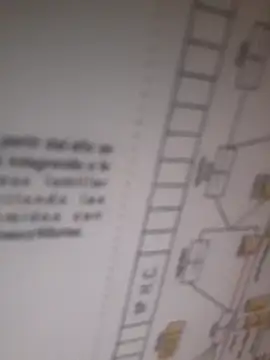 bocadepecado online show from 09.30.25