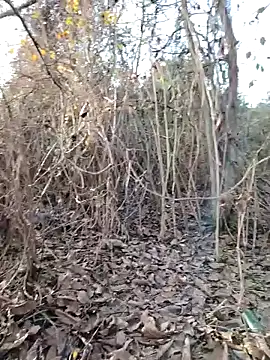 Snapshot of Prince-sexy chatting on 12.21.25 Prince-sexy online show from 12.21.25