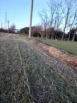 Snapshot of Prince-sexy chatting on 01.06.26 Prince-sexy online show from 01.06.26