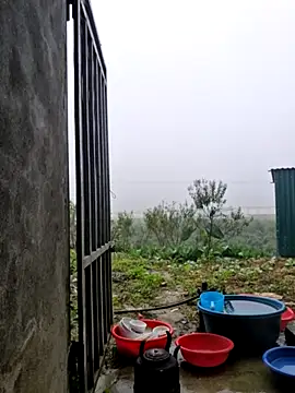 yoowwmr online show from 11.12.25