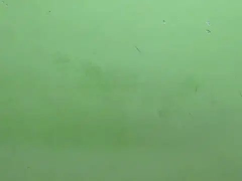 Snapshot of rockyy23boy chatting on 10.15.25 rockyy23boy online show from 10.15.25