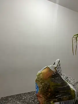 Snapshot of megan_bigboobs_ chatting on 09.14.25 megan bigboobs online show from 09.14.25