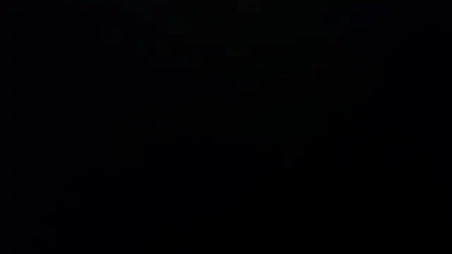 bossking017 online show from 02.19.26